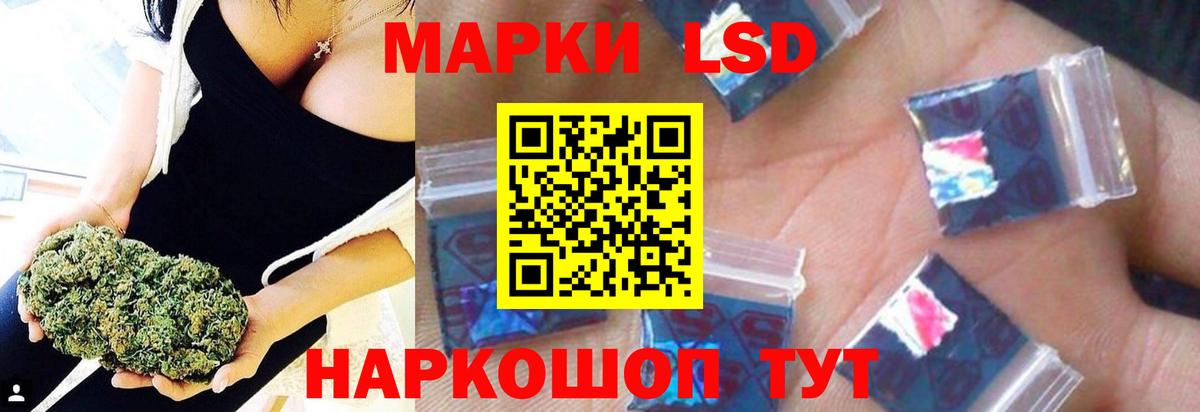 APVP Людиново